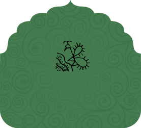 અર્વાચીન કવિતા